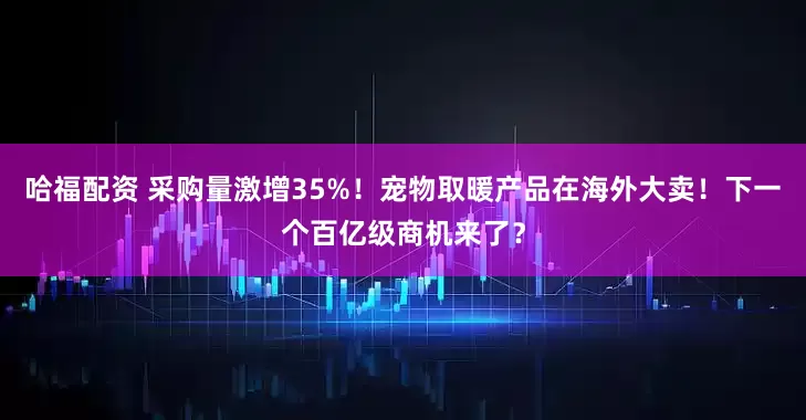 哈福配资 采购量激增35%！宠物取暖产品在海外大卖！下一个百亿级商机来了？